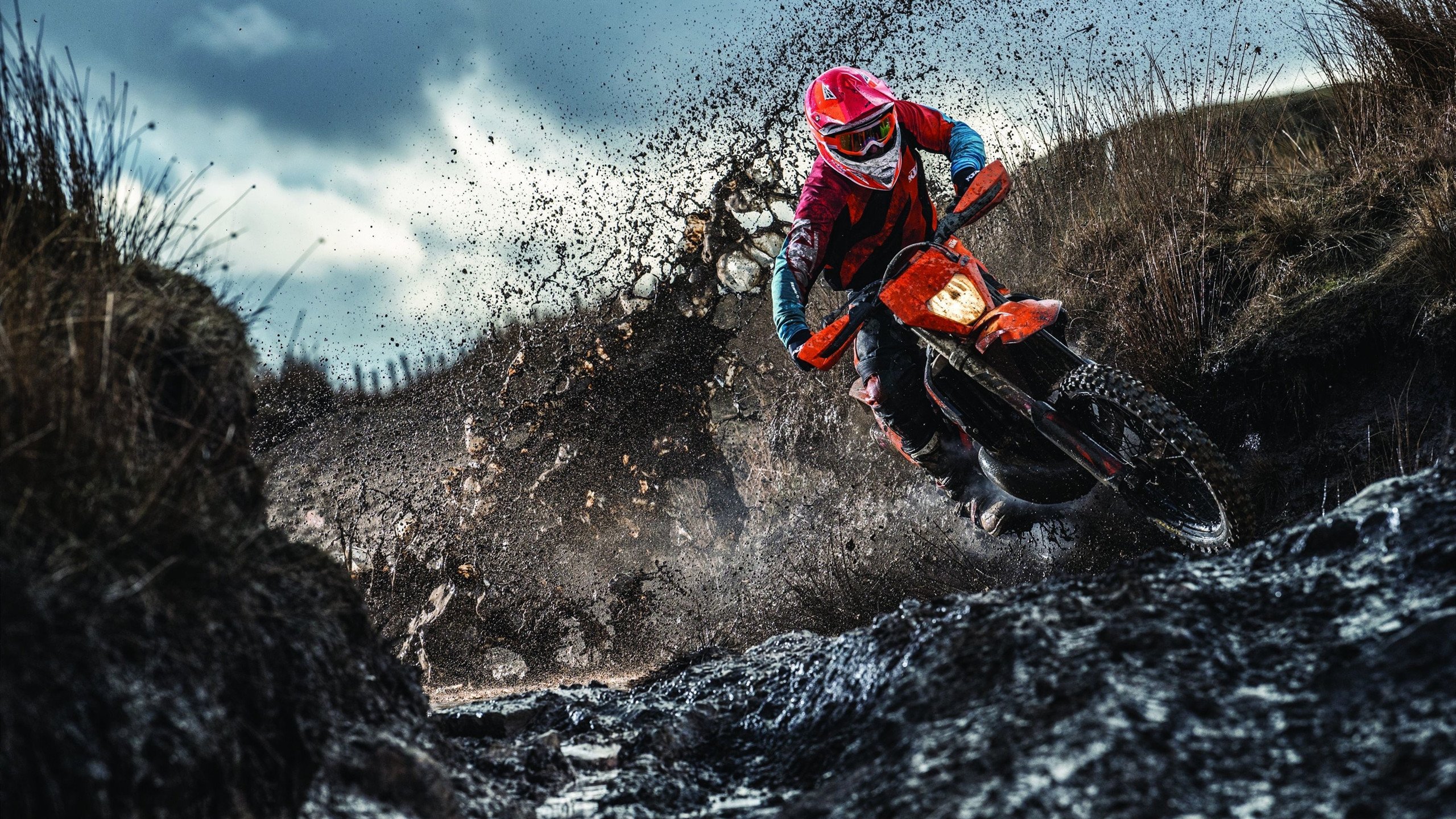 “华金·托比利亚的坚韧精神与防守技术,帮助美洲狮队巩固全球地位”